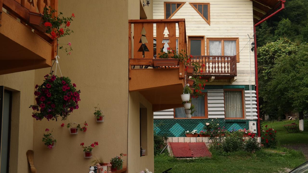 Casa Mon Reve Hotel Bran  Exterior foto